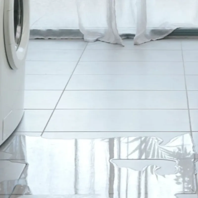Appliance Leak Cleanup in DuPage County, IL