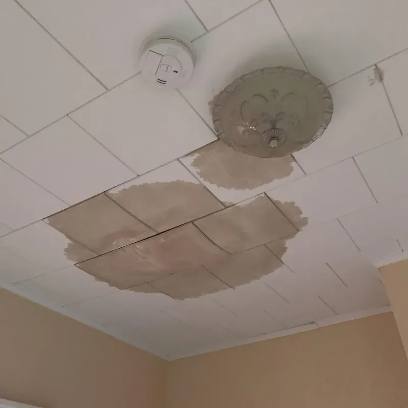 Ceiling Water Damage Repair in DuPage County, IL