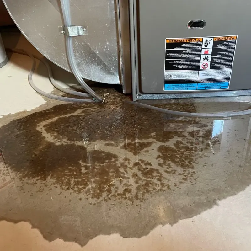 Pipe Burst and Leak Restoration in DuPage County, IL