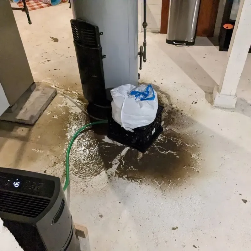 Sewage Backup Cleanup Service in DuPage County, IL
